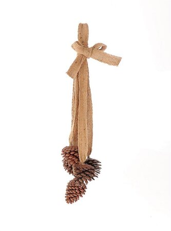 Hang dennenappels 5st l13b13h60cm brn - HBX Deco
