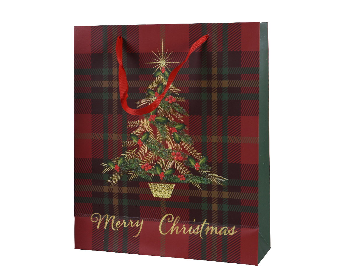 Giftbag papier l8b18h24 cm S Decoris - Decoris