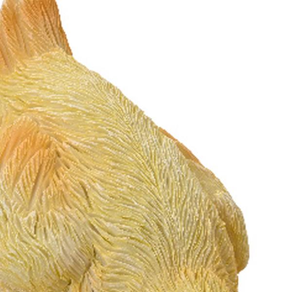 https://cdn.warentuin.nl/media/catalog/product/S/C/SCAN8720725565951_01_eend_polyresin_l10b11h14_cm_geel_a3_decoris_ea37.jpg