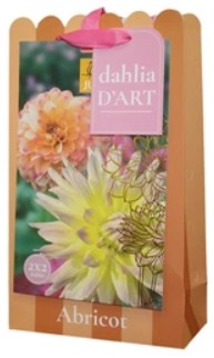 https://cdn.warentuin.nl/media/catalog/product/S/C/SCAN8720873001516_tas_dahlias_abricot_bloembol_jub_4_stuks_7b0f.jpg