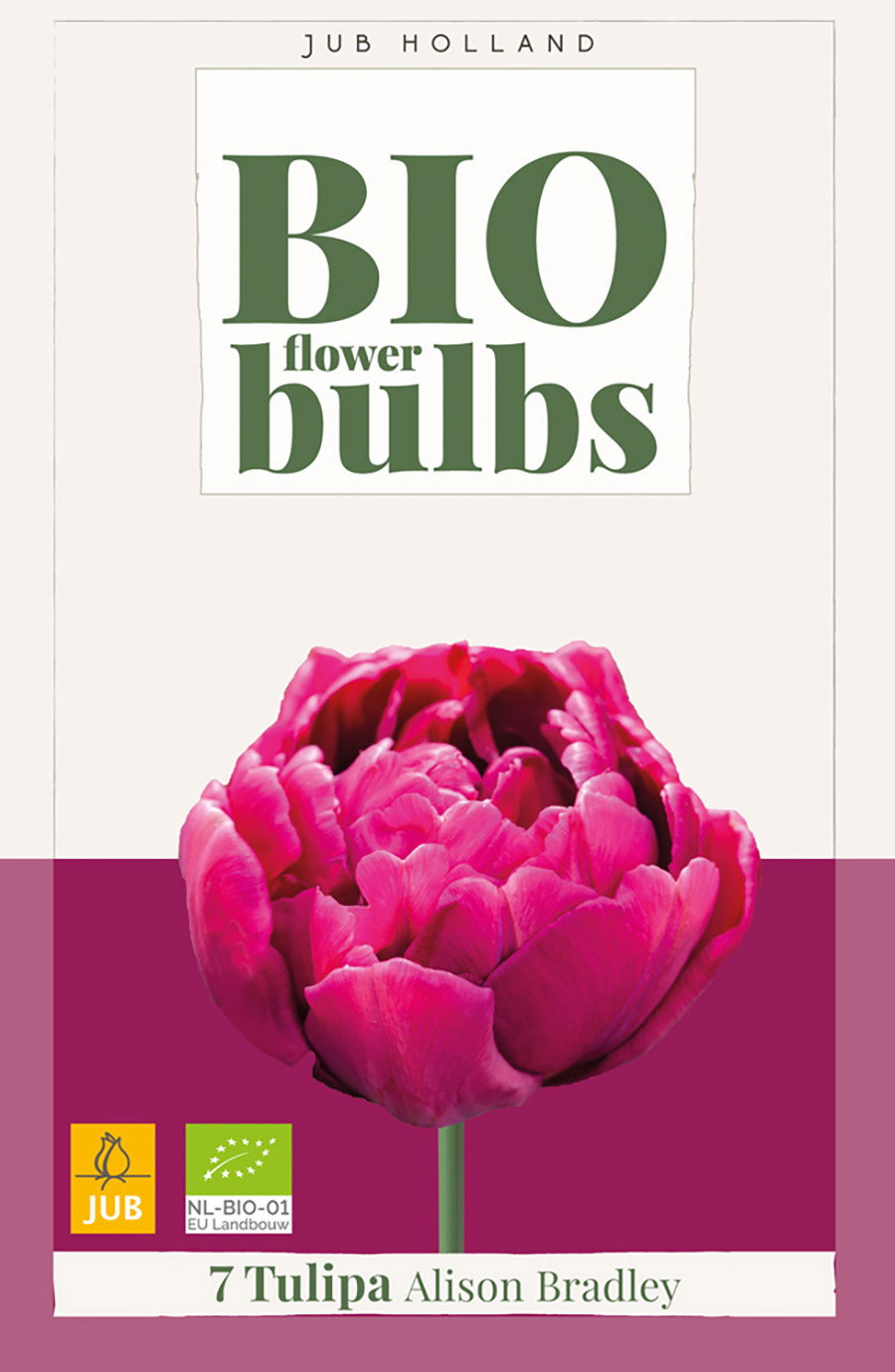 Tulipa Alison Bradley bloembol JUB 7 stuks bio - Jub