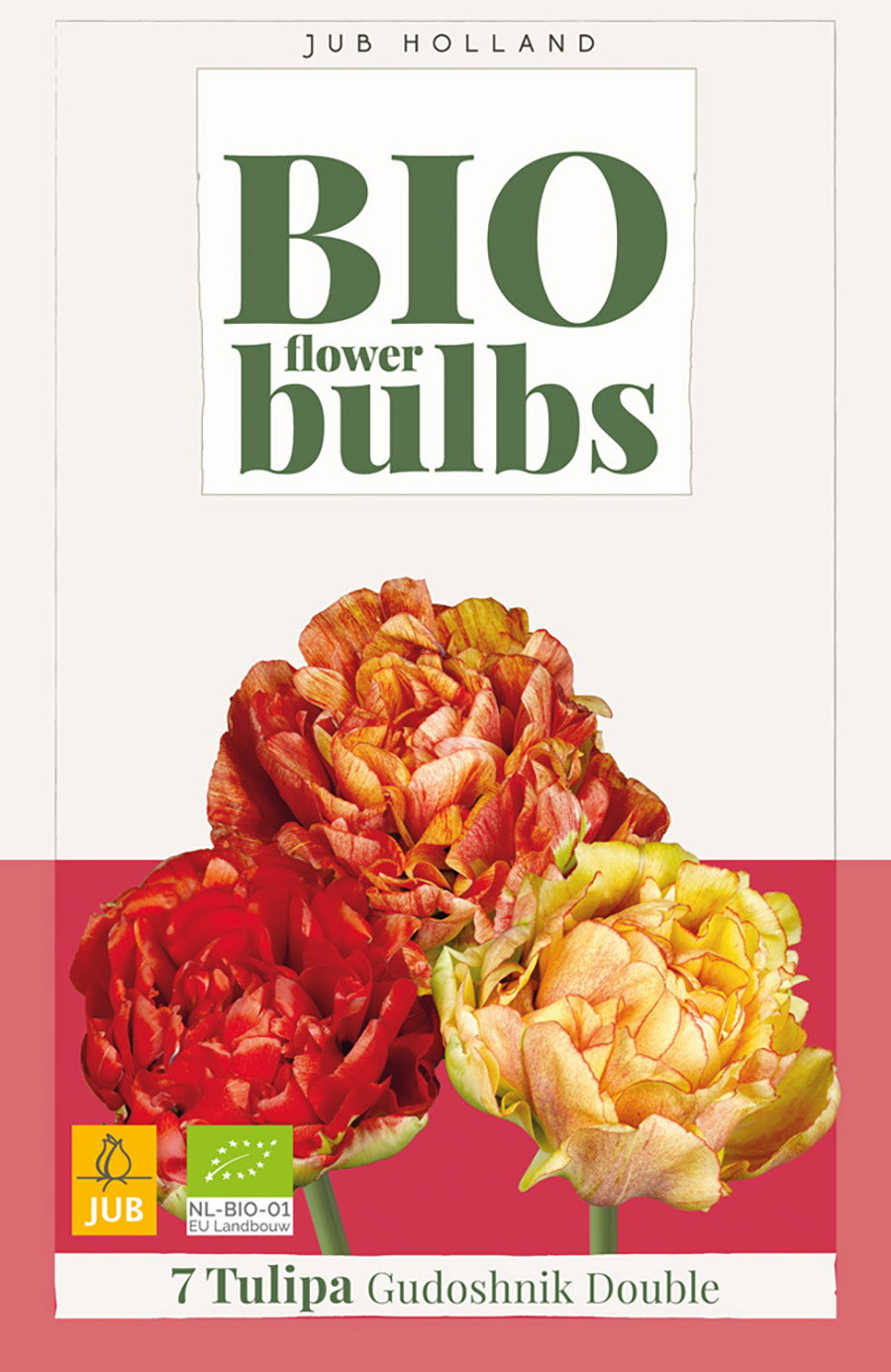 Tulipa Gudoshnik Double bloembol JUB 7 stuks bio - Jub