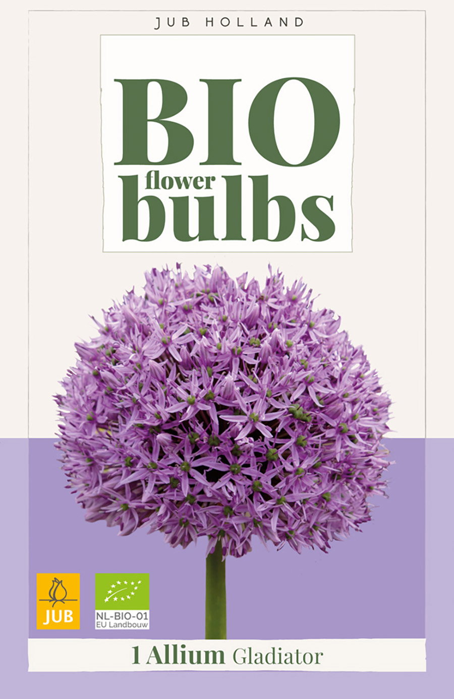 Allium Gladiator bloembol JUB 1 stuks bio - Jub