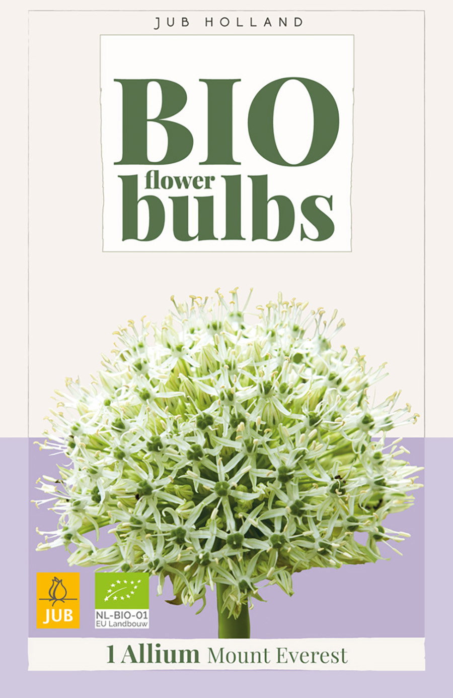 Allium Mount Everest bloembol JUB 1 stuks bio - Jub