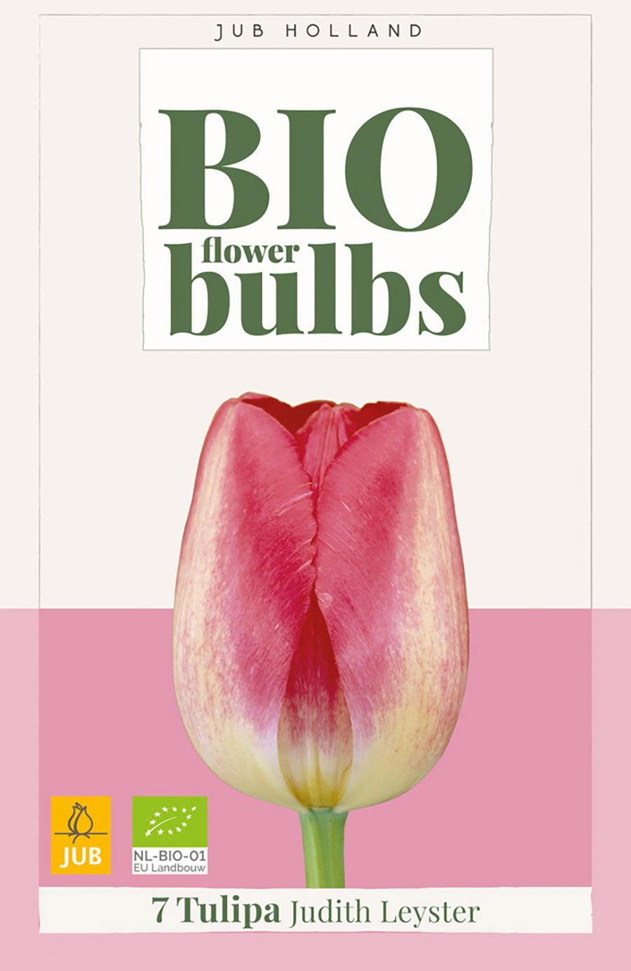 Tulipa Judith Leyster bloembol JUB 7 stuks bio - Jub