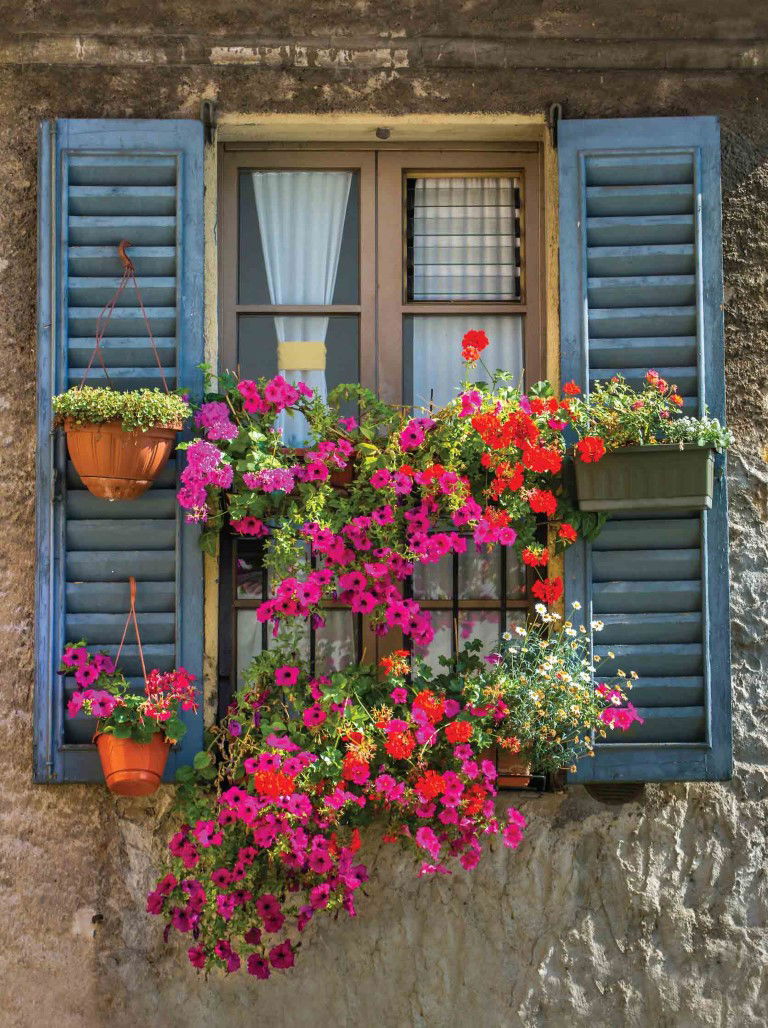 https://cdn.warentuin.nl/media/catalog/product/S/C/SCAN8720966700005_blue_shutters_50x70cm_tuinschilderij_customize_it_fb56.jpg