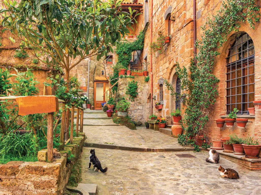 https://cdn.warentuin.nl/media/catalog/product/S/C/SCAN8720966700043_steeg_katten_70x50cm_tuinschilderij_customize_it_c18c.jpg