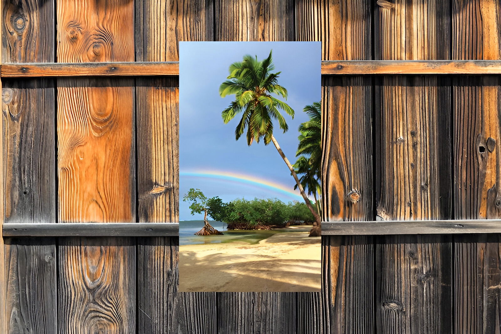 https://cdn.warentuin.nl/media/catalog/product/S/C/SCAN8720966700166_01_customize_it_tuinschilderijen_tropen_regenbo_06fd.jpg