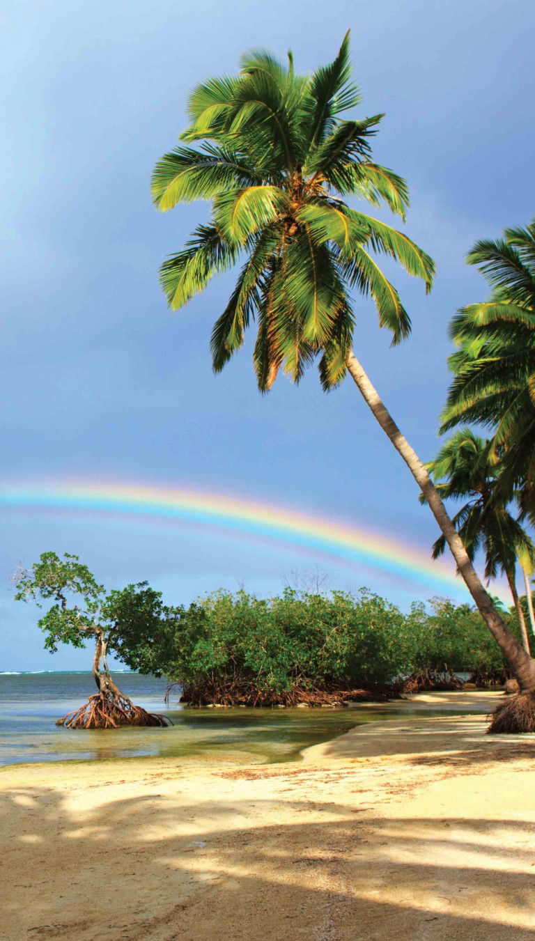 https://cdn.warentuin.nl/media/catalog/product/S/C/SCAN8720966700166_tropen_regenboog_70x130cm_tuinschilderij_customize_it_5d09.jpg