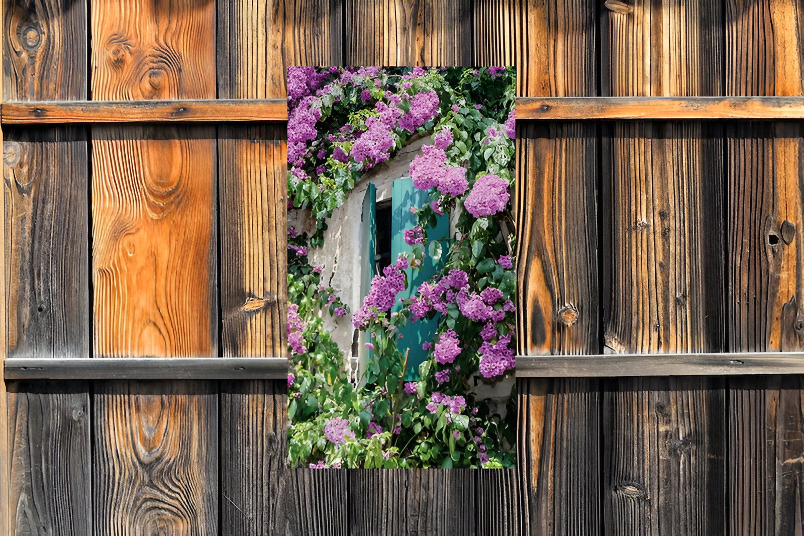 https://cdn.warentuin.nl/media/catalog/product/S/C/SCAN8720966700197_01_customize_it_tuinschilderijen_bloemen_luiken_da35.jpg