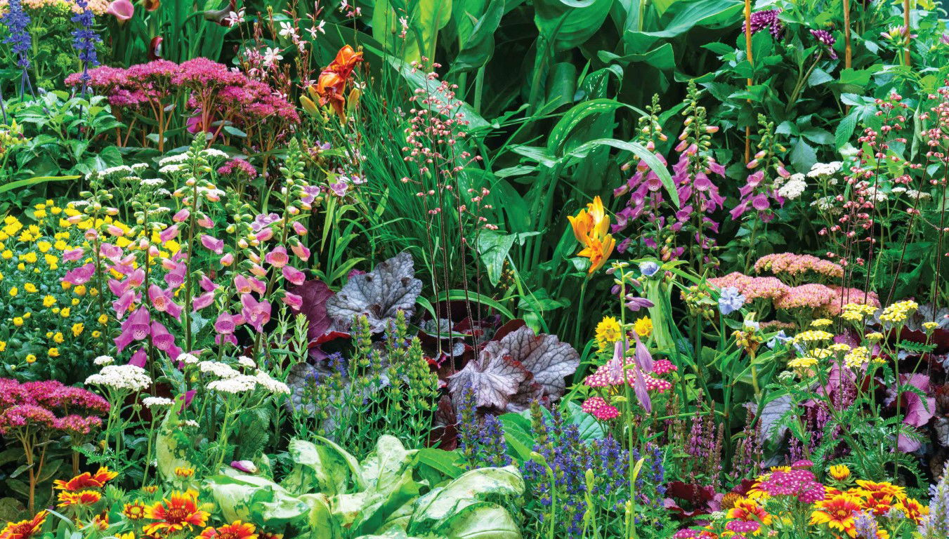 https://cdn.warentuin.nl/media/catalog/product/S/C/SCAN8720966700234_bloemenmix_130x70cm_tuinschilderij_customize_it_2370.jpg