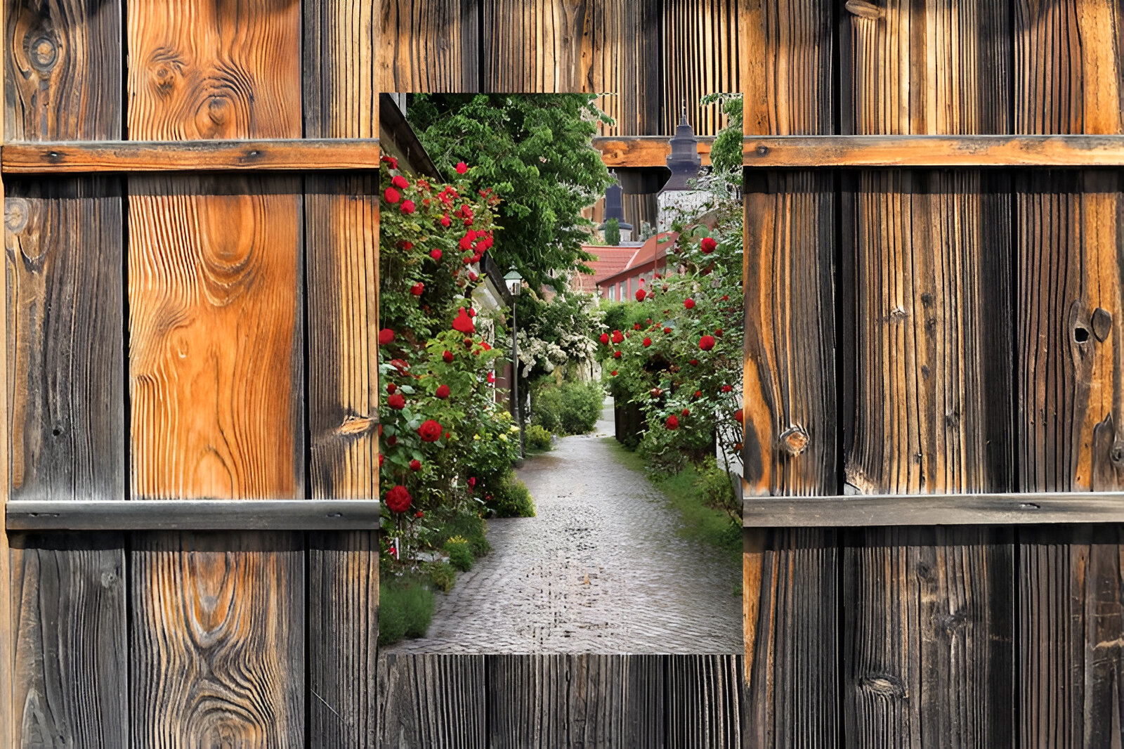 https://cdn.warentuin.nl/media/catalog/product/S/C/SCAN8720966700364_01_customize_it_tuindoek_alley_roses_90x140cm_t_3d8f.jpg