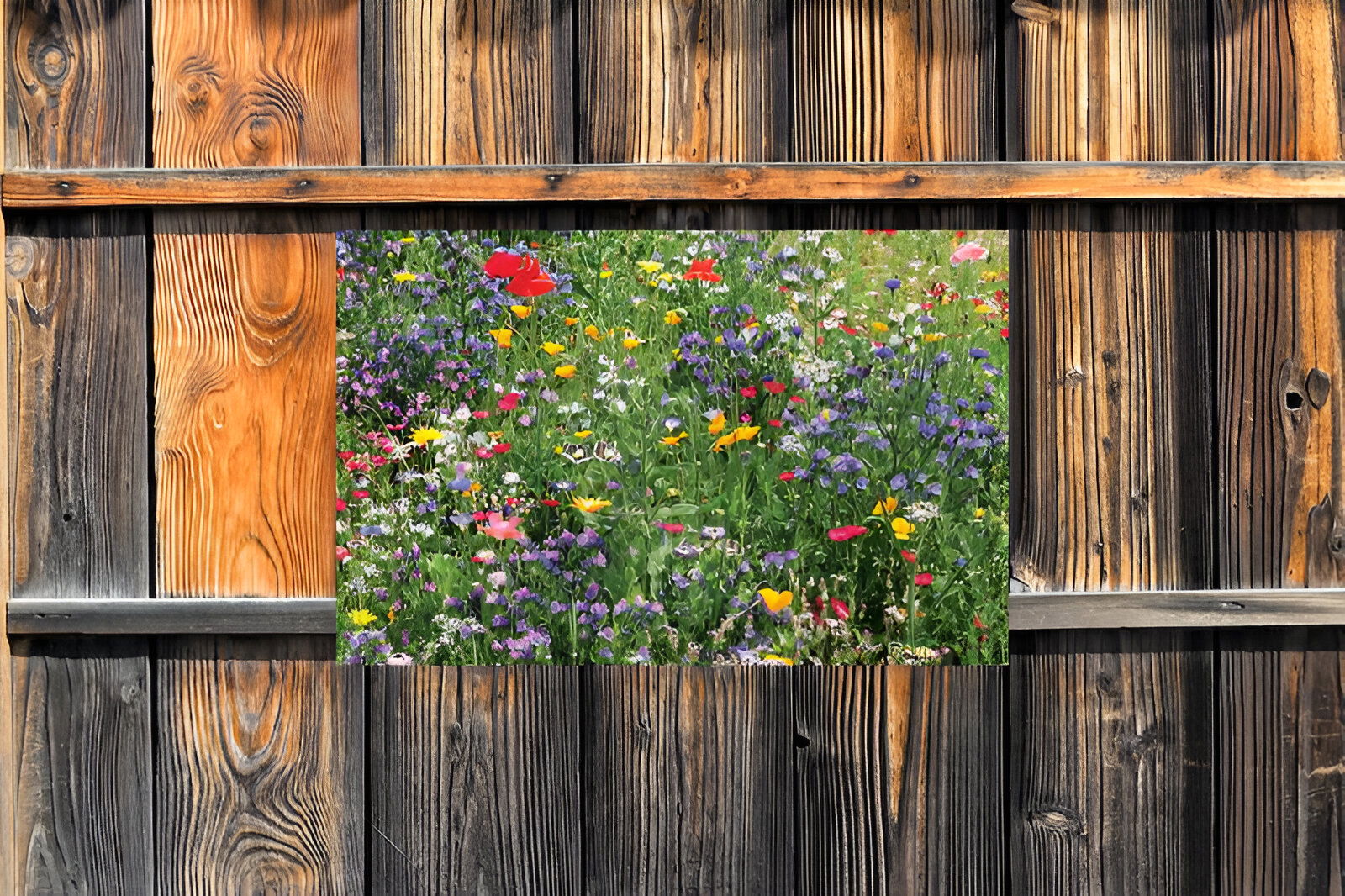 https://cdn.warentuin.nl/media/catalog/product/S/C/SCAN8720966700395_01_customize_it_tuindoek_bloemenveld_140x90cm_t_fc81.jpg