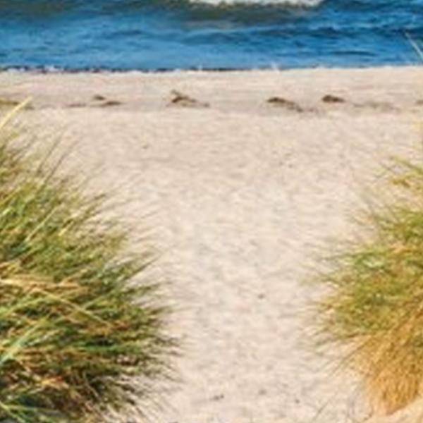 https://cdn.warentuin.nl/media/catalog/product/S/C/SCAN8720966700470_01_tuindoek_deur_strand_170x90cm_bruin_customize_it_e2b3.jpg