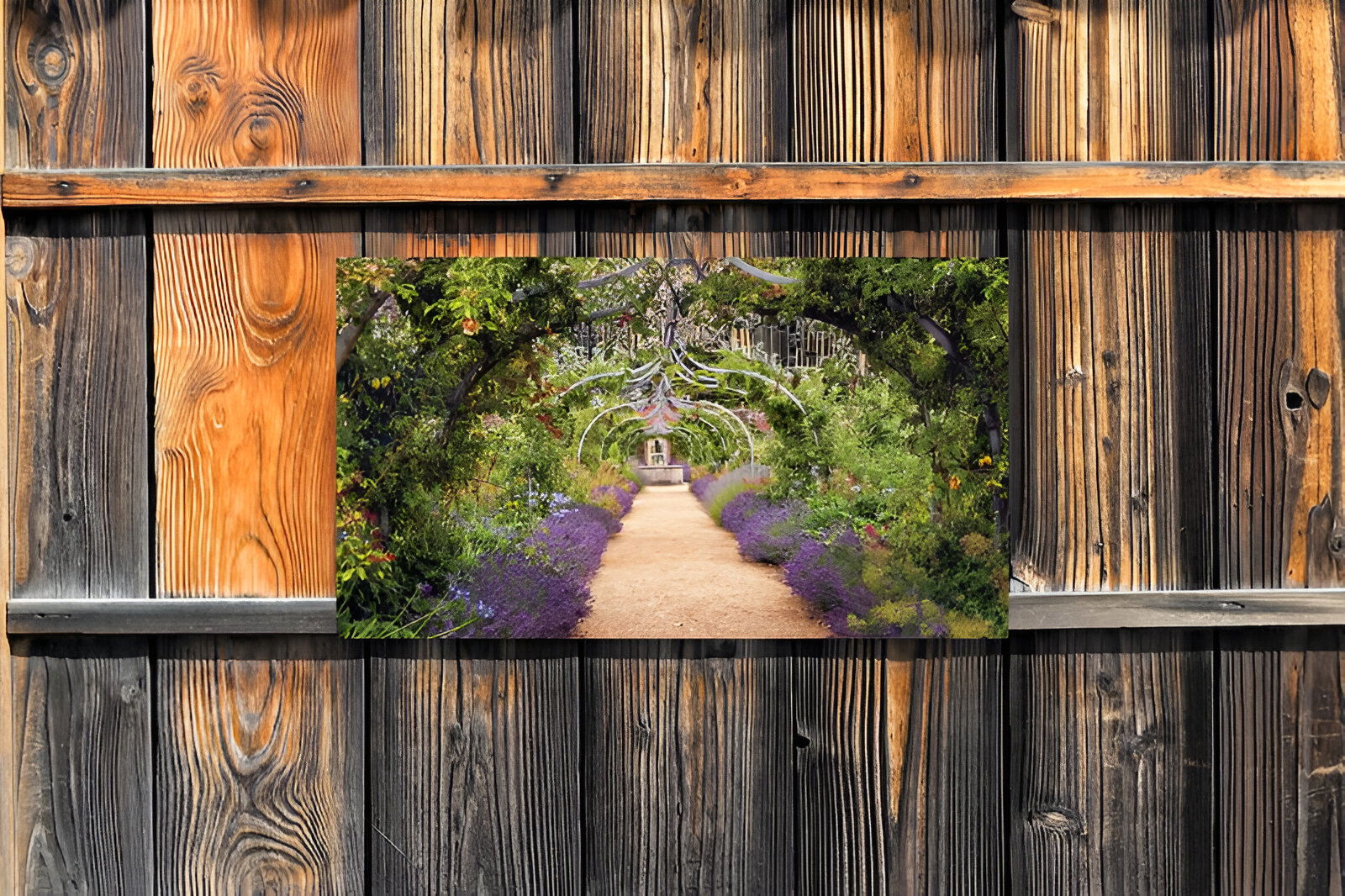 https://cdn.warentuin.nl/media/catalog/product/S/C/SCAN8720966700753_01_customize_it_tuinschilderijen_lavendel_tuin__7275.jpg