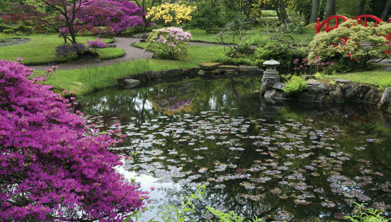 https://cdn.warentuin.nl/media/catalog/product/S/C/SCAN8720966700821_tuin_vijver_130x70cm_tuinschilderij_customize_it_6a7e.jpg