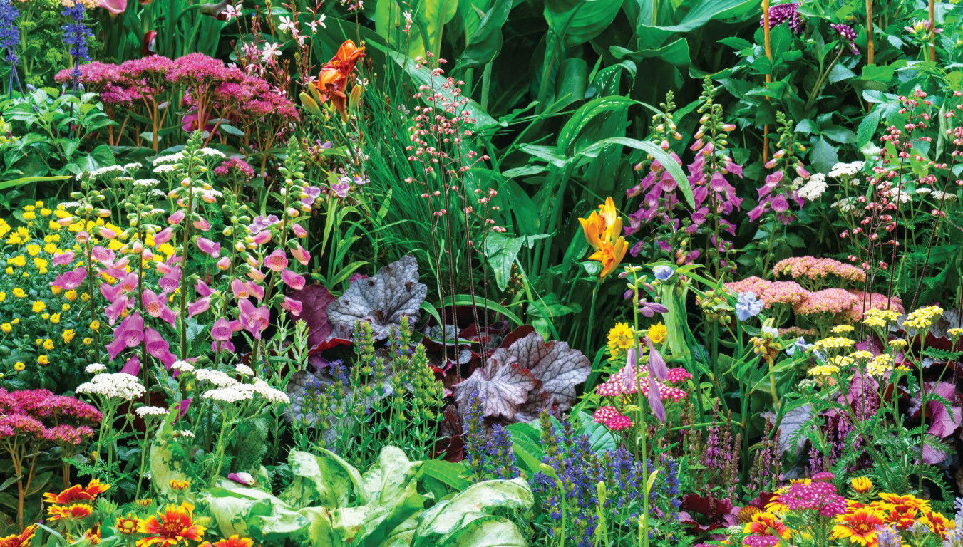 https://cdn.warentuin.nl/media/catalog/product/S/C/SCAN8720966700876_bloemenmix_130x70cm_tuinschilderij_customize_it_88a3.jpg