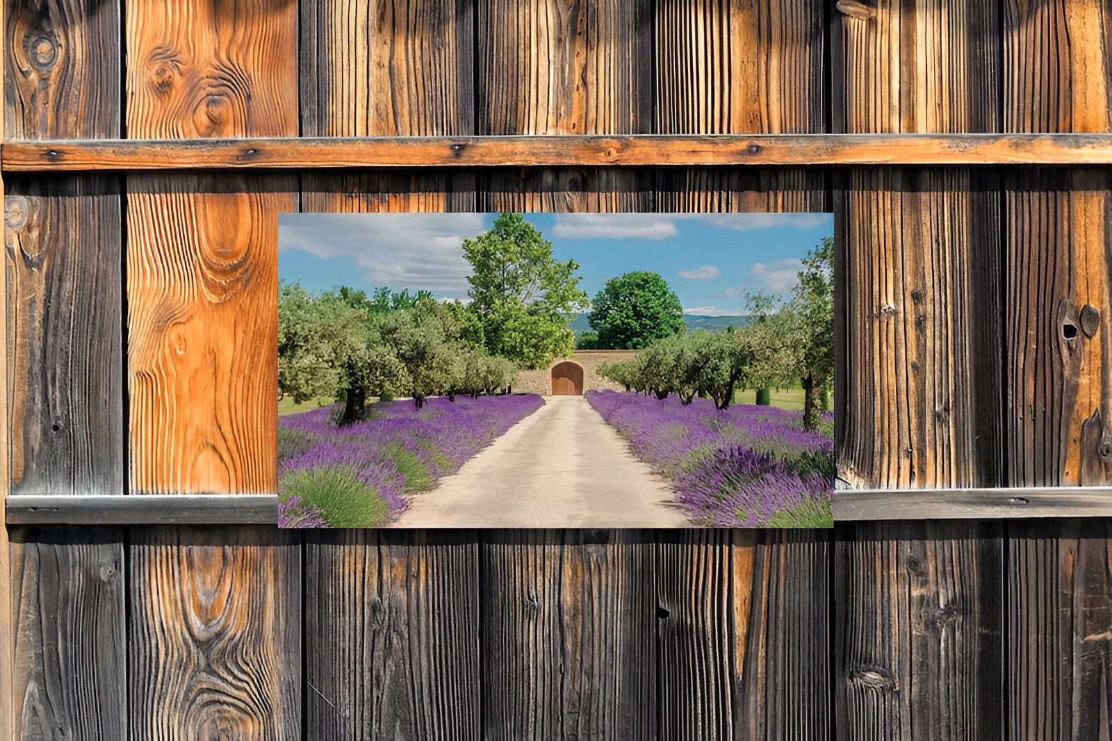 https://cdn.warentuin.nl/media/catalog/product/S/C/SCAN8720966700913_01_customize_it_tuinschilderijen_lavendel_deur__2165.jpg