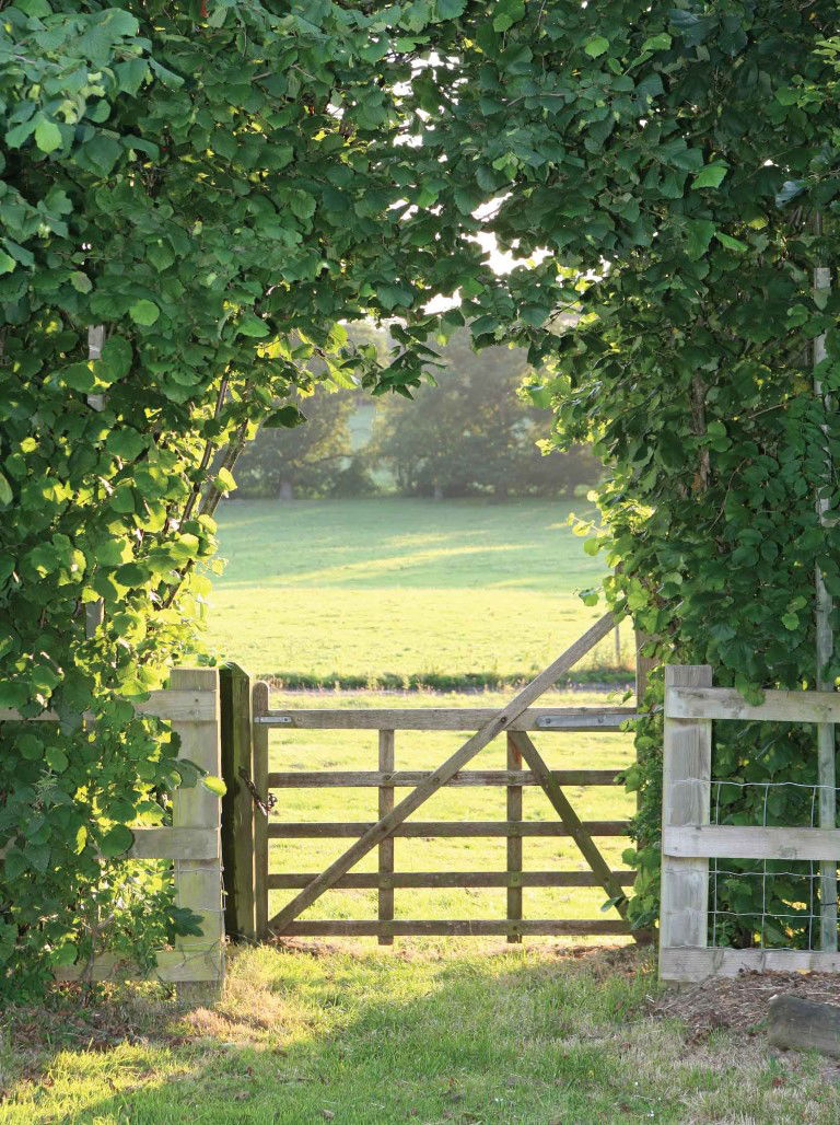 https://cdn.warentuin.nl/media/catalog/product/S/C/SCAN8720966701262_meadow_50x70cm_tuinschilderij_customize_it_8550.jpg