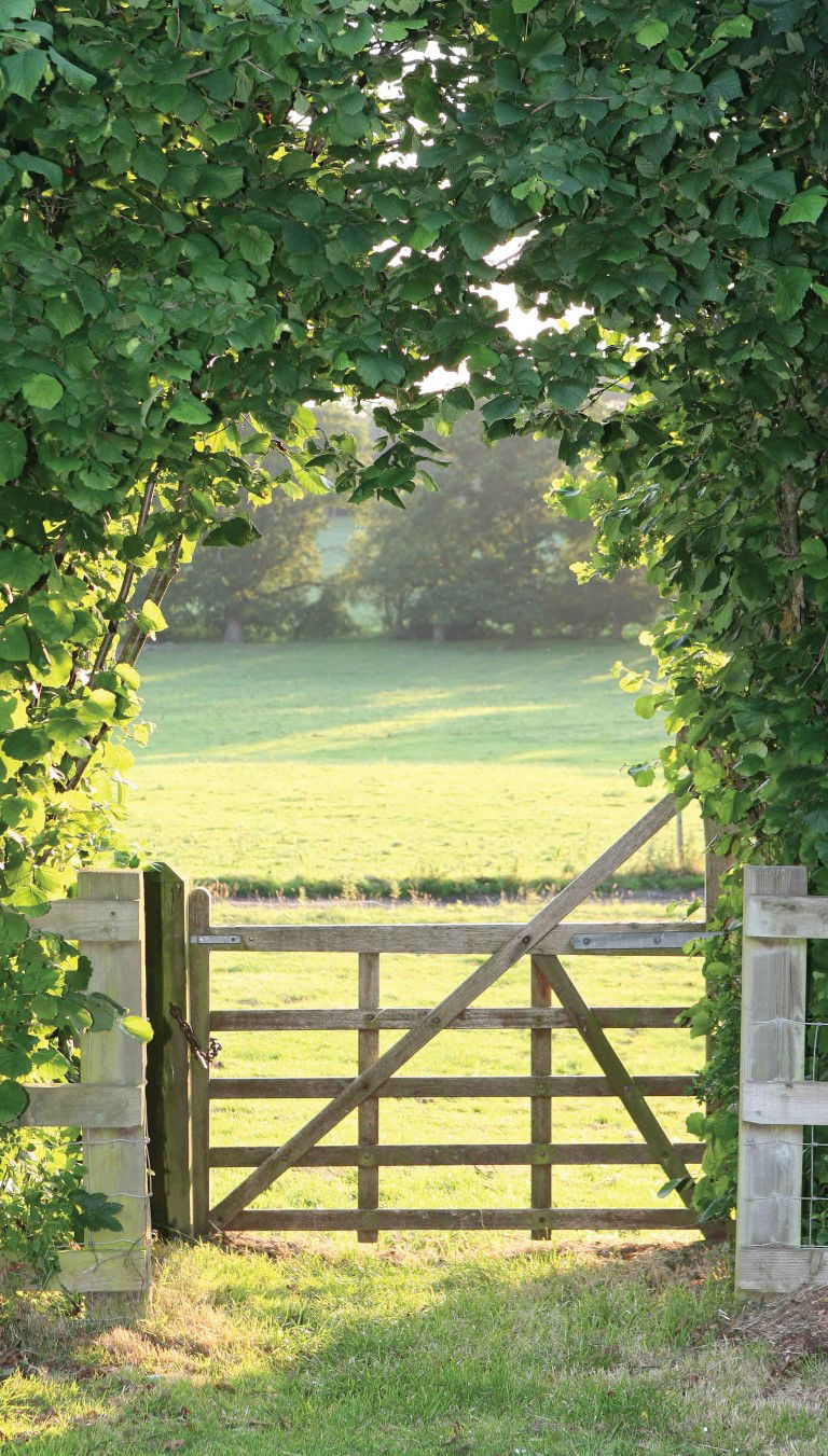 https://cdn.warentuin.nl/media/catalog/product/S/C/SCAN8720966701279_meadow_70x130cm_tuinschilderij_customize_it_24eb.jpg