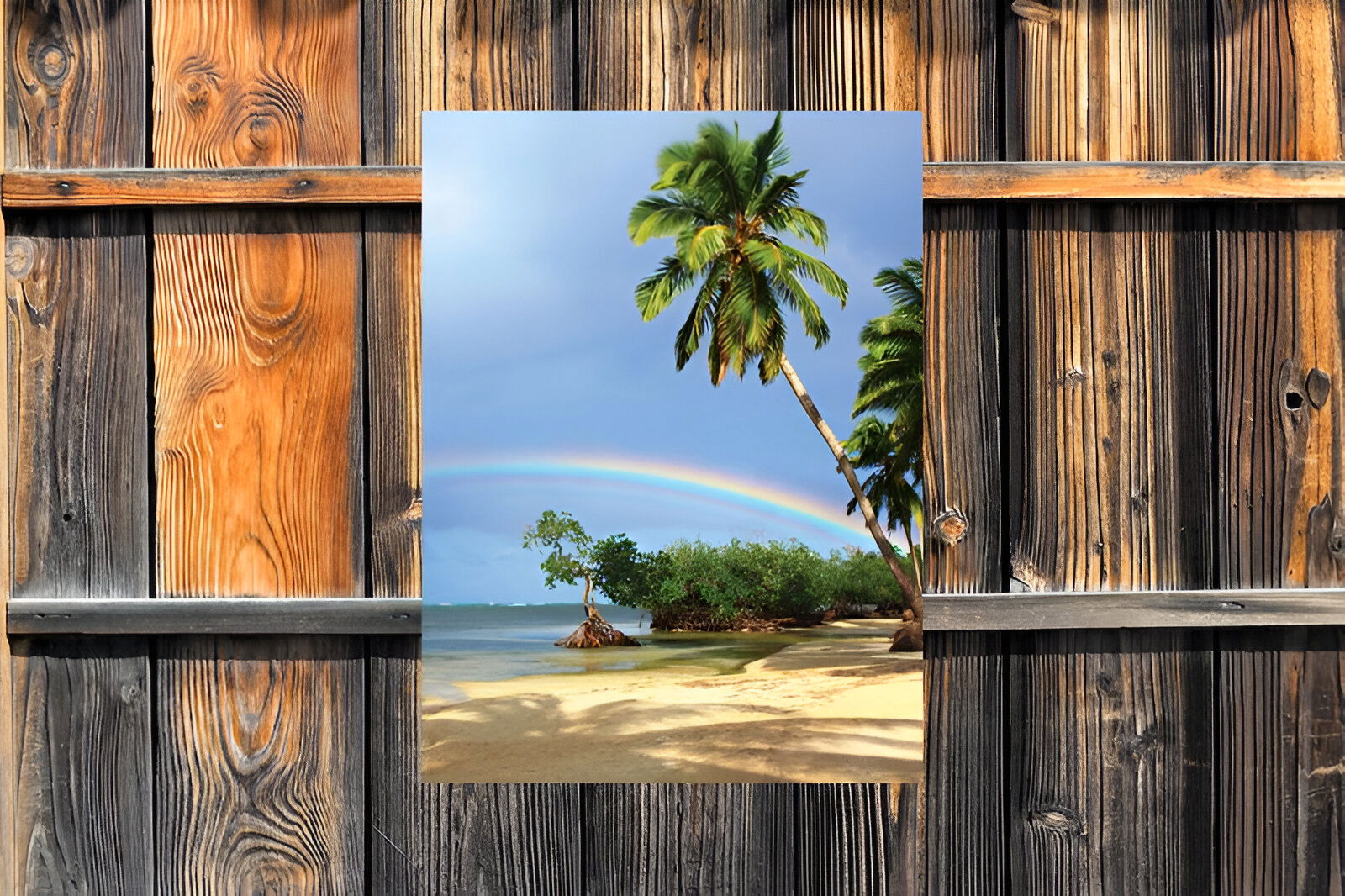 https://cdn.warentuin.nl/media/catalog/product/S/C/SCAN8720966701354_01_customize_it_tuinschilderijen_tropen_regenbo_06c6.jpg