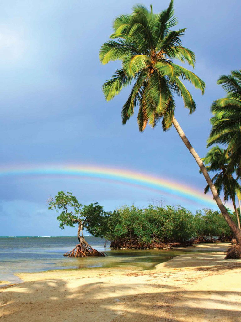 https://cdn.warentuin.nl/media/catalog/product/S/C/SCAN8720966701354_tropen_regenboog_50x70cm_tuinschilderij_customize_it_e1d1.jpg