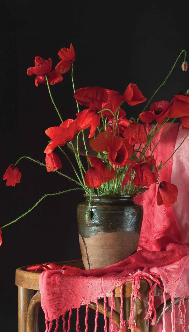 https://cdn.warentuin.nl/media/catalog/product/S/C/SCAN8720966701415_rode_bloemen_70x130cm_tuinschilderij_customize_it_49e7.jpg