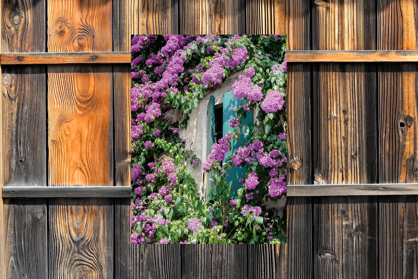 https://cdn.warentuin.nl/media/catalog/product/S/C/SCAN8720966701514_01_customize_it_tuinschilderijen_bloemen_luiken_fc26.jpg