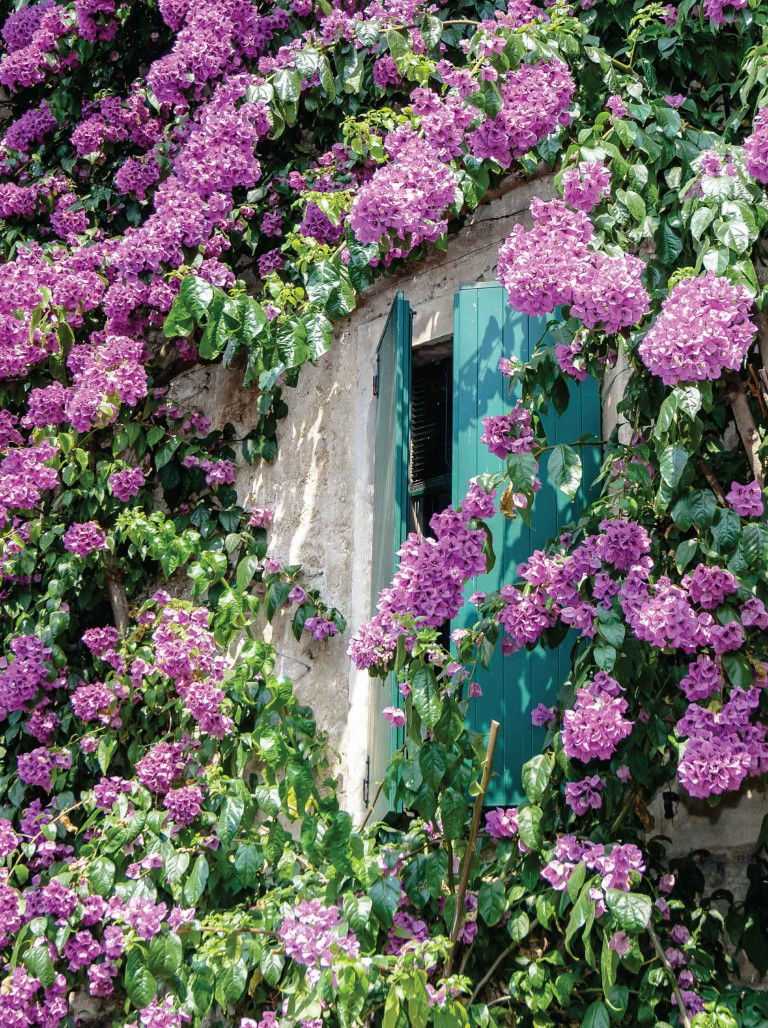 https://cdn.warentuin.nl/media/catalog/product/S/C/SCAN8720966701514_bloemen_luiken_50x70cm_tuinschilderij_customize_it_9922.jpg