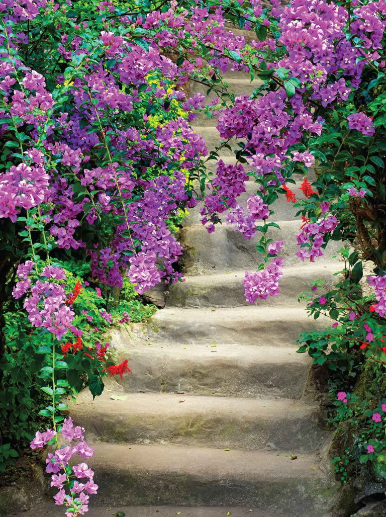 https://cdn.warentuin.nl/media/catalog/product/S/C/SCAN8720966701521_bloemen_trap_50x70cm_tuinschilderij_customize_it_148d.jpg