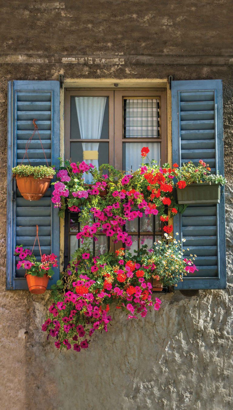 https://cdn.warentuin.nl/media/catalog/product/S/C/SCAN8720966701583_blue_shutters_70x130cm_tuinschilderij_customize_it_d00b.jpg