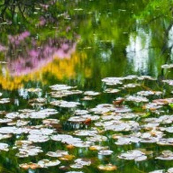 https://cdn.warentuin.nl/media/catalog/product/S/C/SCAN8720966701620_01_tuindoek_japanse_tuin_210x140cm_customize_it_a11c.jpg