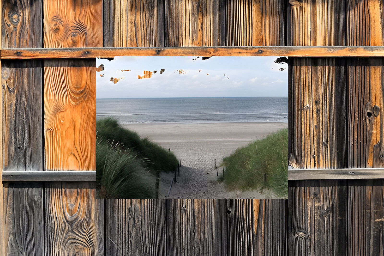 https://cdn.warentuin.nl/media/catalog/product/S/C/SCAN8720966701682_01_customize_it_tuinschilderijen_duinpad_zeezic_1e11.jpg