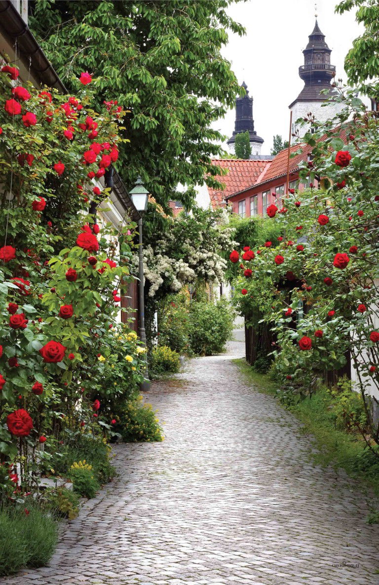 Customize it Tuindoek alley roses 210x140cm rood - 