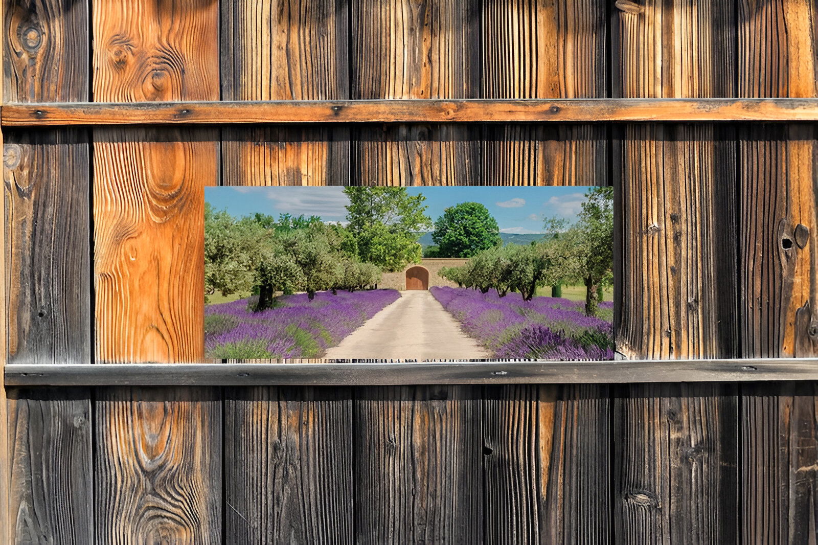 https://cdn.warentuin.nl/media/catalog/product/S/C/SCAN8720966701743_01_customize_it_tuinschilderijen_lavendel_deur__09ef.jpg