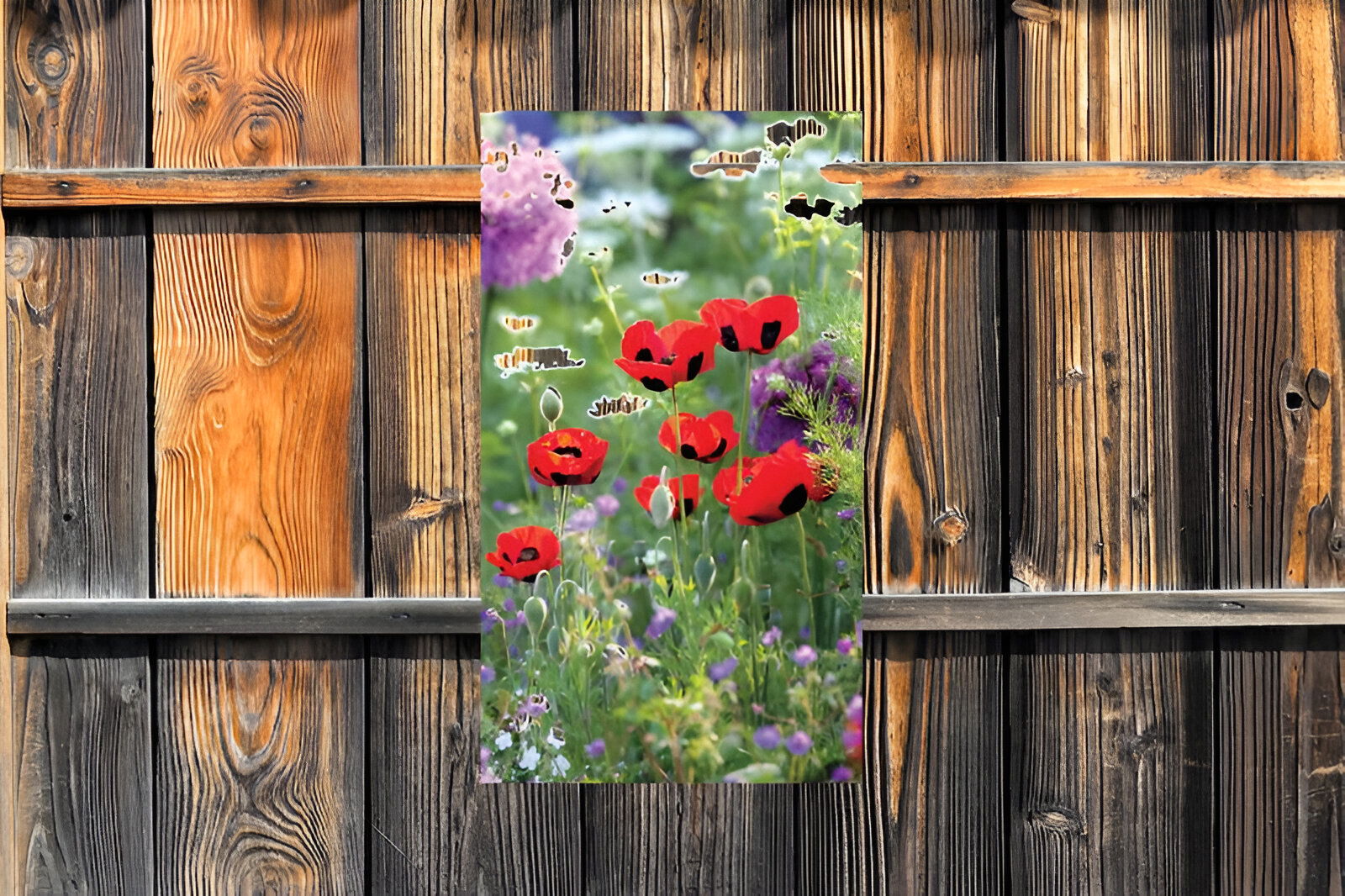 https://cdn.warentuin.nl/media/catalog/product/S/C/SCAN8720966701835_01_customize_it_tuinschilderijen_klaprozen_wild_2af4.jpg
