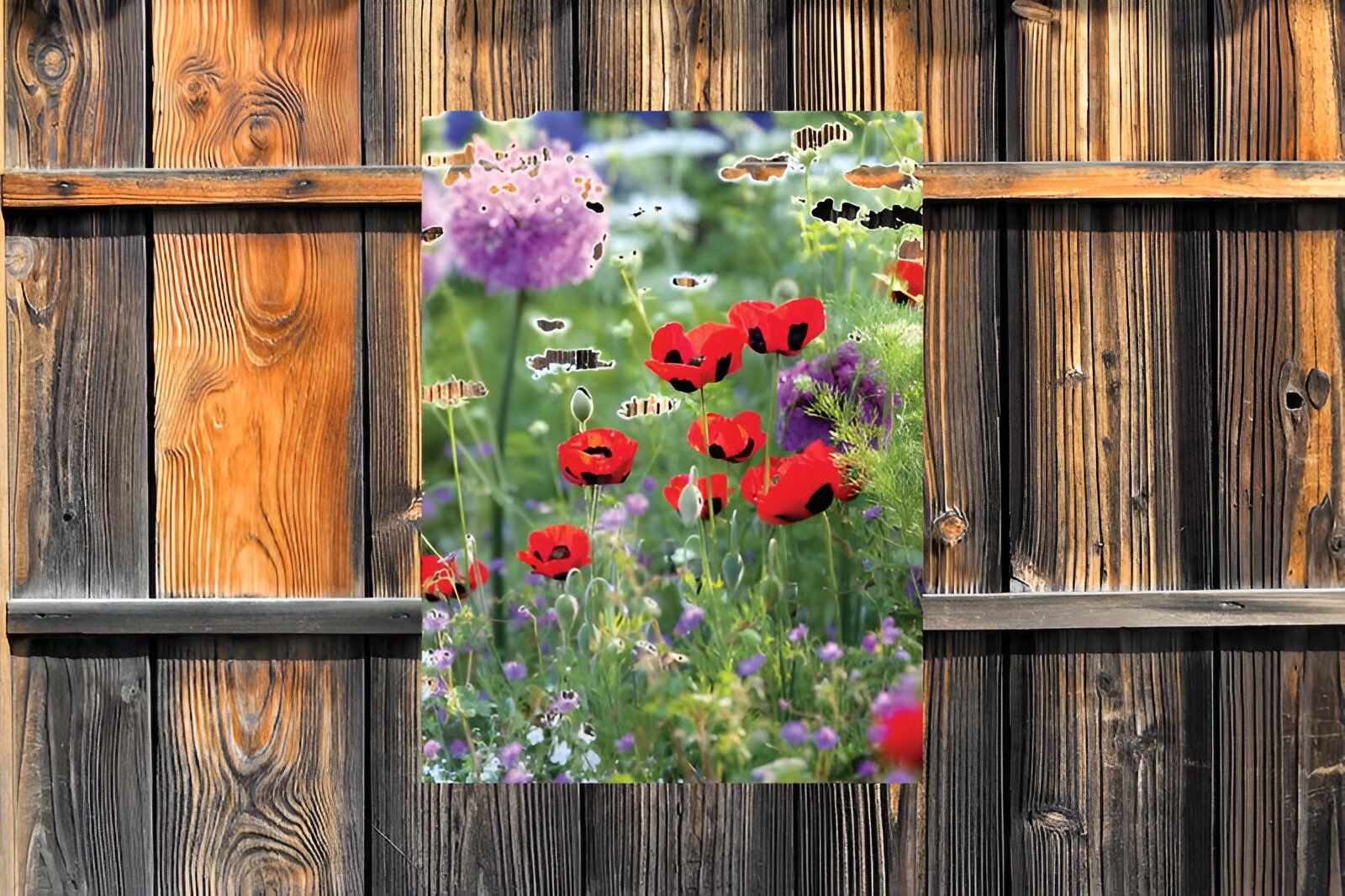 https://cdn.warentuin.nl/media/catalog/product/S/C/SCAN8720966701842_01_customize_it_tuinschilderijen_klaprozen_wild_48bf.jpg
