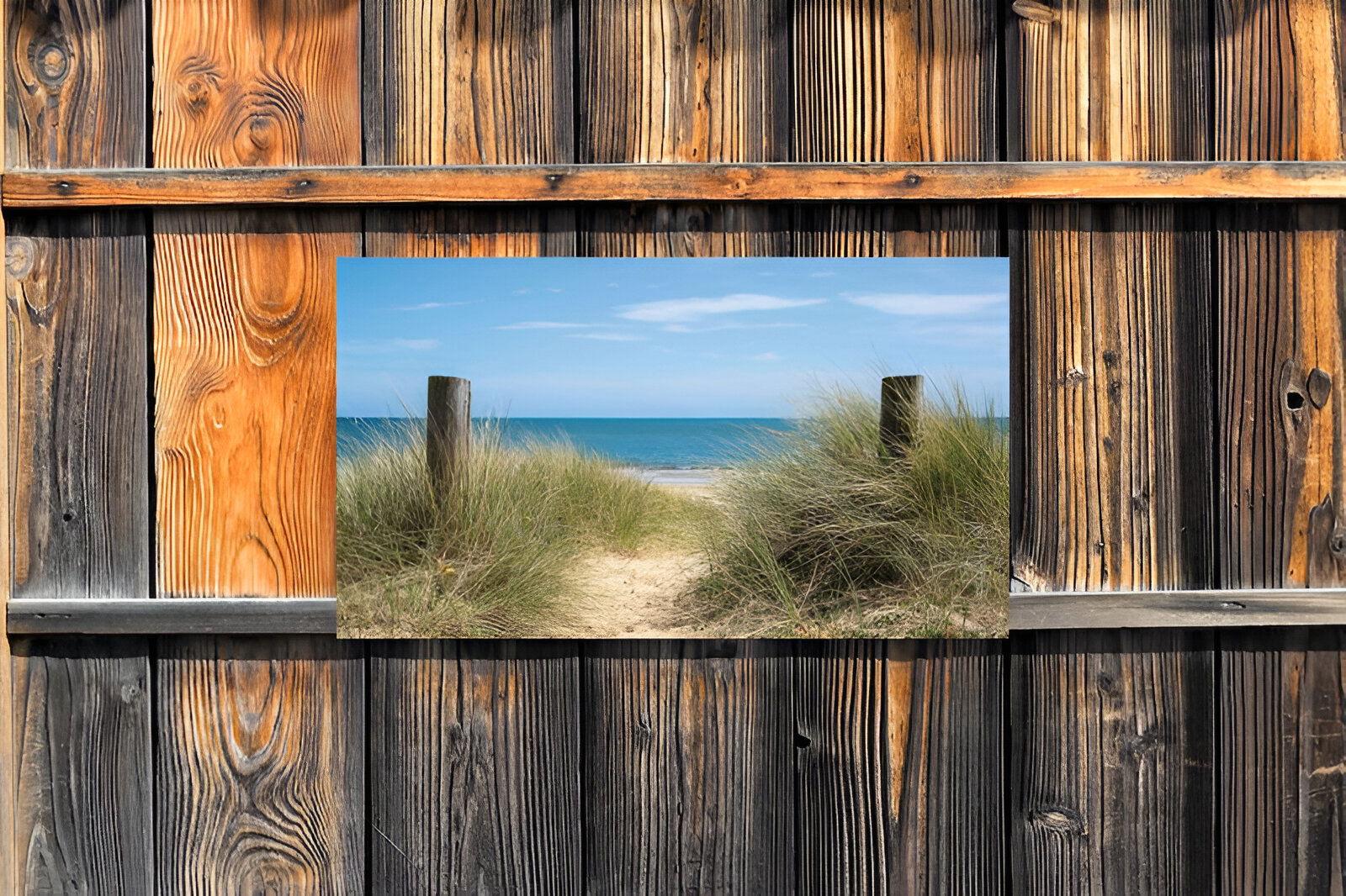https://cdn.warentuin.nl/media/catalog/product/S/C/SCAN8720966702009_01_customize_it_tuinschilderijen_duinpalen_130x_c2bf.jpg