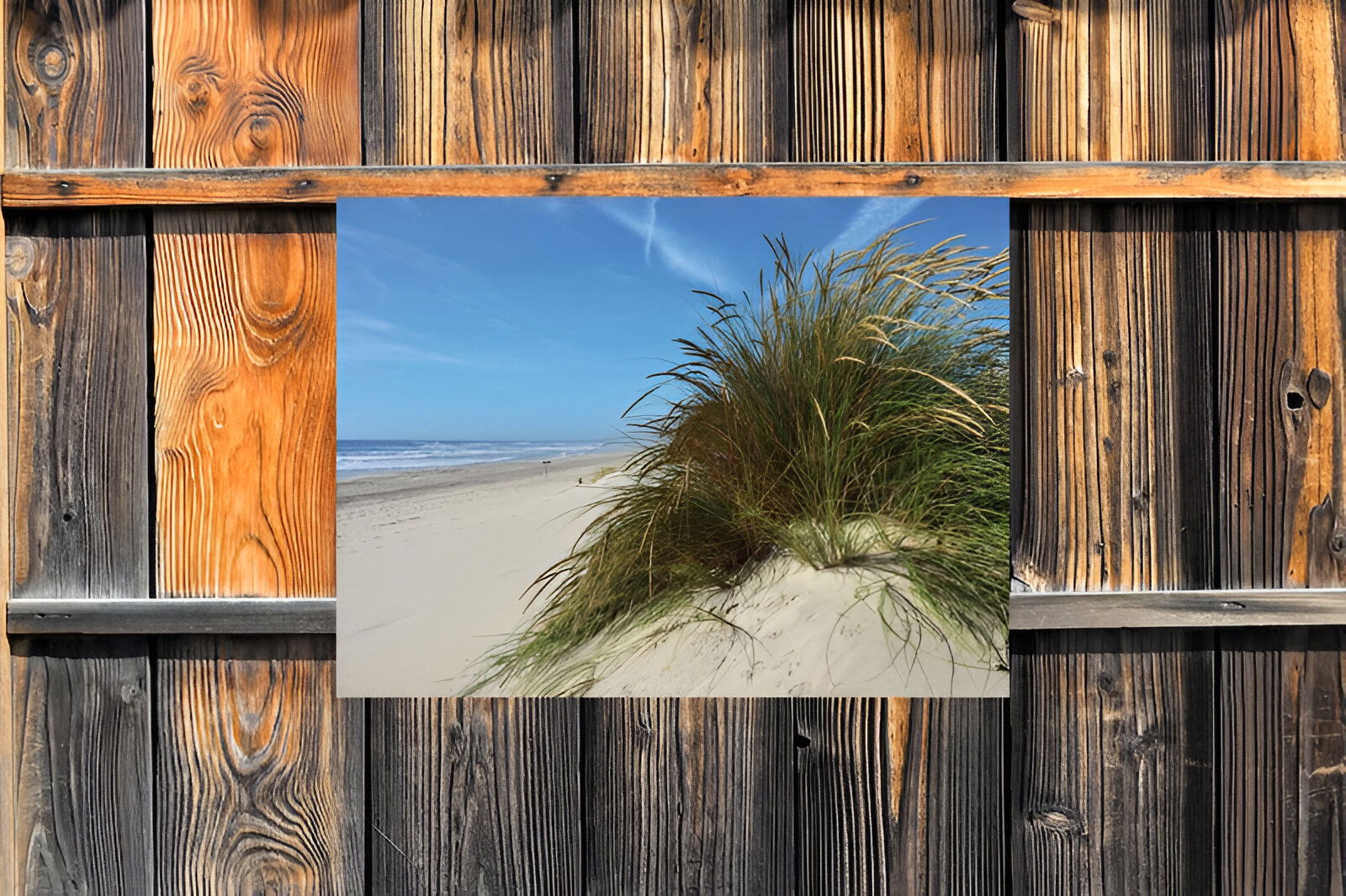 https://cdn.warentuin.nl/media/catalog/product/S/C/SCAN8720966702047_01_customize_it_tuinschilderijen_strand_met_gra_b8ae.jpg