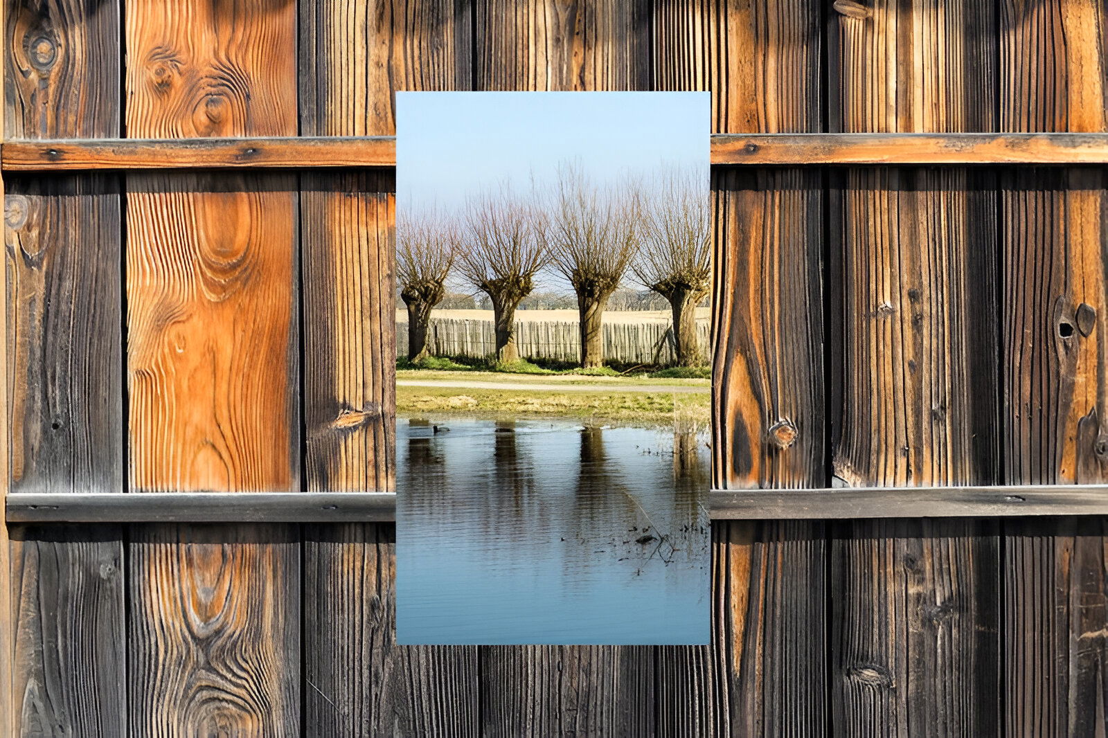 https://cdn.warentuin.nl/media/catalog/product/S/C/SCAN8720966702191_01_customize_it_tuinschilderijen_knotwilgen_70x_1fa8.jpg