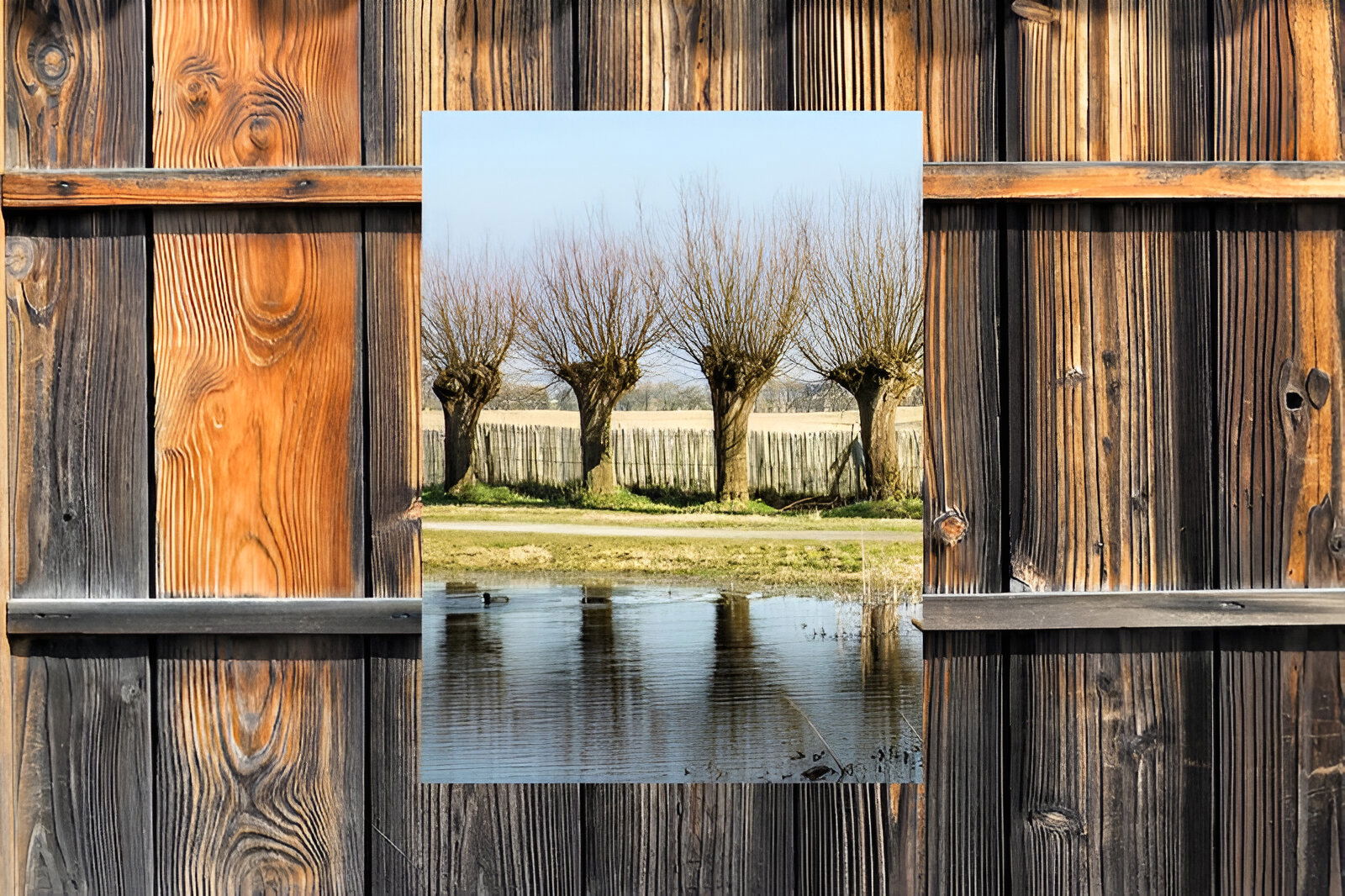 https://cdn.warentuin.nl/media/catalog/product/S/C/SCAN8720966702207_01_customize_it_tuinschilderijen_knotwilgen_50x_e0a1.jpg