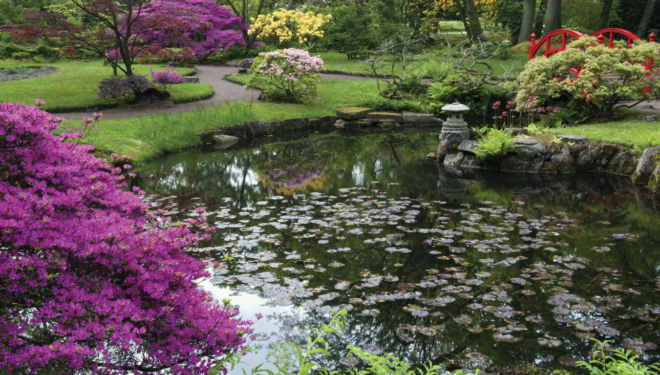 https://cdn.warentuin.nl/media/catalog/product/S/C/SCAN8720966702313_aziatische_tuin_130x70cm_tuinschilderij_customize_it_aded.jpg