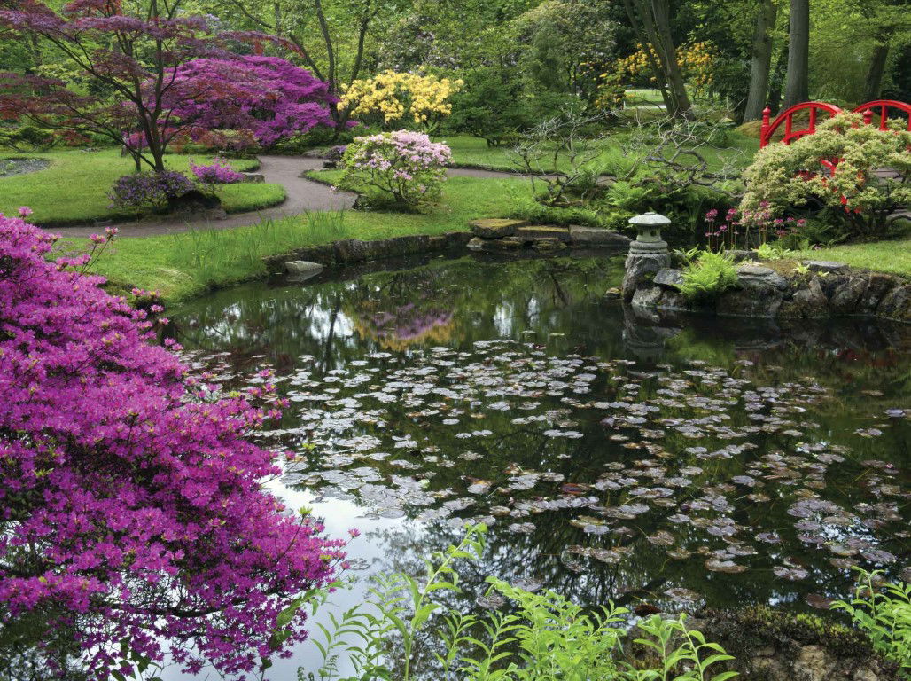 https://cdn.warentuin.nl/media/catalog/product/S/C/SCAN8720966702320_aziatische_tuin_70x50cm_tuinschilderij_customize_it_8a81.jpg