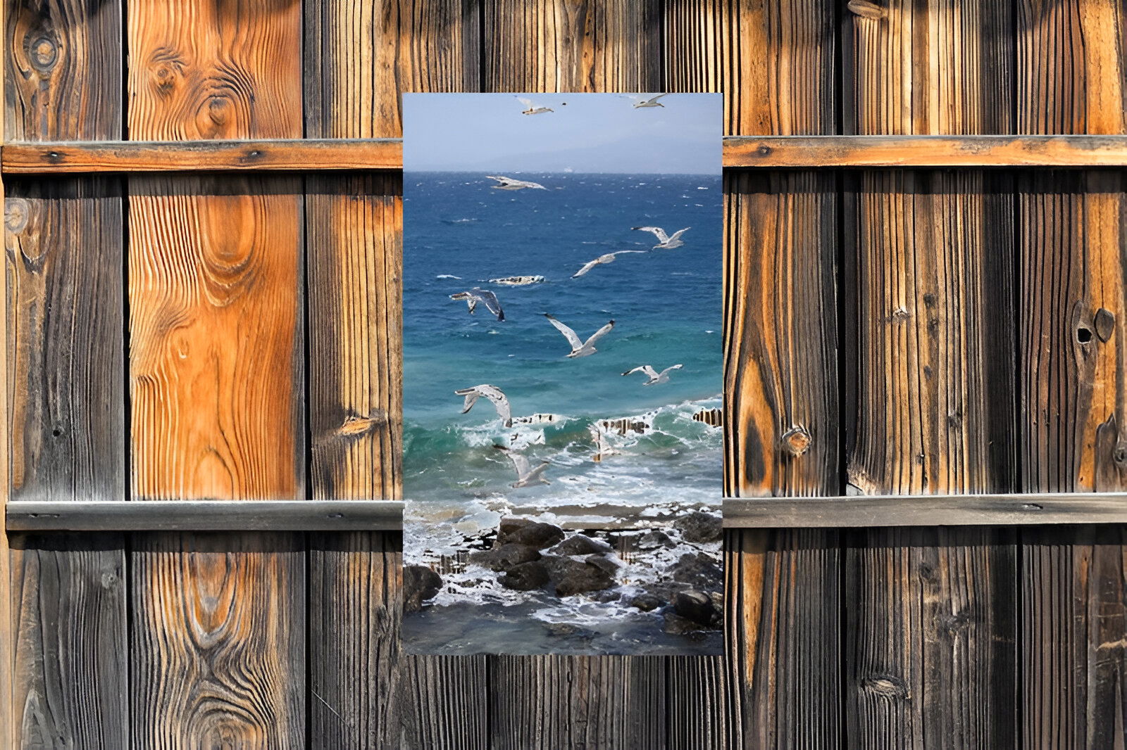 https://cdn.warentuin.nl/media/catalog/product/S/C/SCAN8720966702429_01_customize_it_tuinschilderijen_meeuwen_strand_ee30.jpg