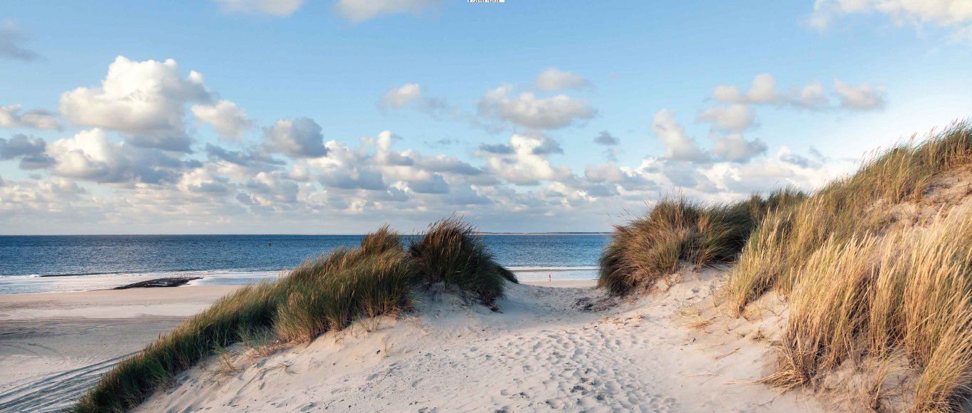 https://cdn.warentuin.nl/media/catalog/product/S/C/SCAN8720966702436_duinen_zee_130x50cm_tuinschilderij_customize_it_1047.jpg