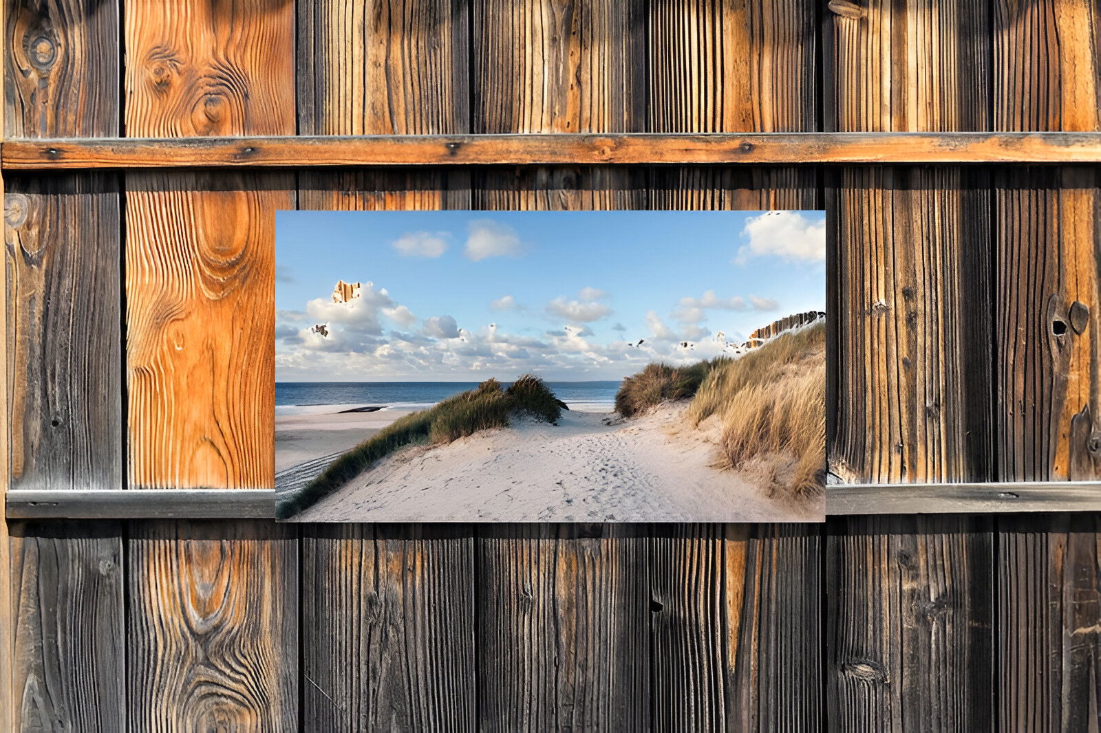 https://cdn.warentuin.nl/media/catalog/product/S/C/SCAN8720966702450_01_customize_it_tuinschilderijen_duinen_zee_130_19f0.jpg