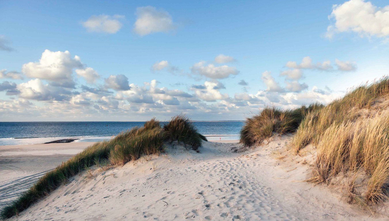 https://cdn.warentuin.nl/media/catalog/product/S/C/SCAN8720966702450_duinen_zee_130x70cm_tuinschilderij_customize_it_9c5e.jpg