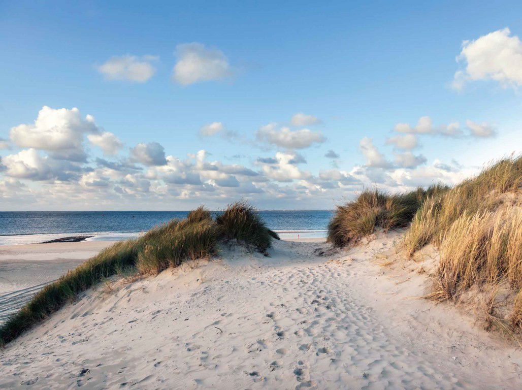 Duinen zee 70x50cm Tuinschilderij Customize it