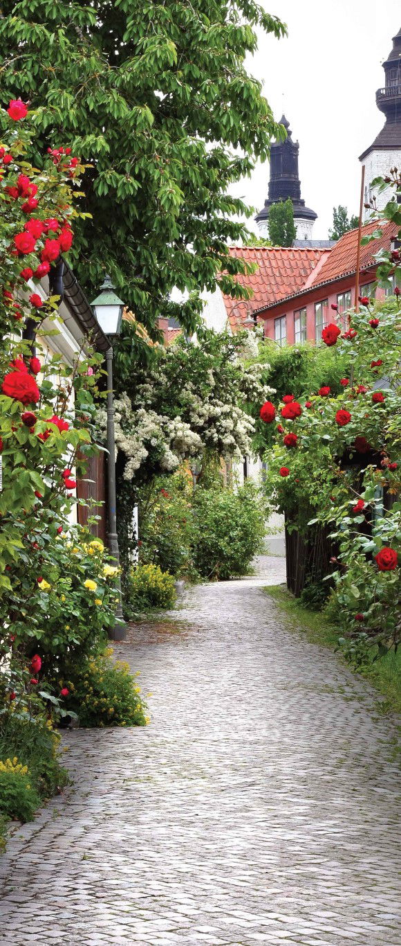 https://cdn.warentuin.nl/media/catalog/product/S/C/SCAN8720966702481_trap_bloemen_130x50cm_tuinschilderij_customize_it_4273.jpg