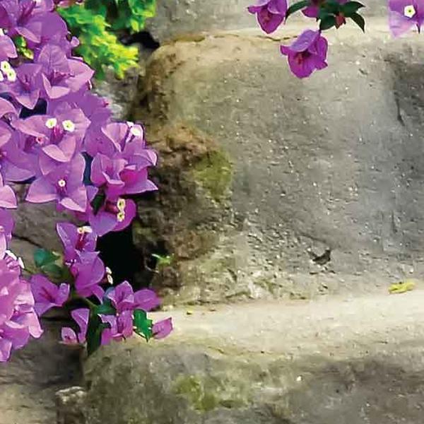 https://cdn.warentuin.nl/media/catalog/product/S/C/SCAN8720966702504_01_tuinschilderij_trap_bloemen_130x70cm_customize_it_31a6.jpg